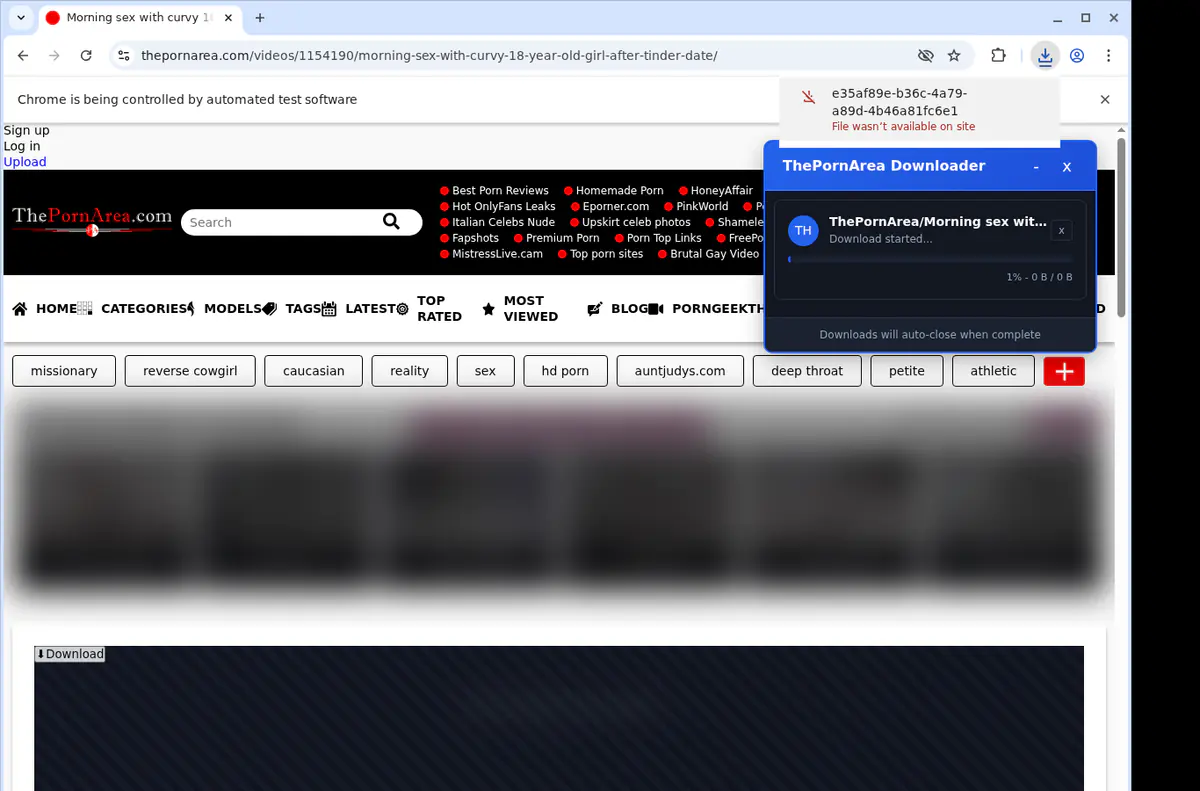 Thepornarea Video Downloader browser extension screenshot 2