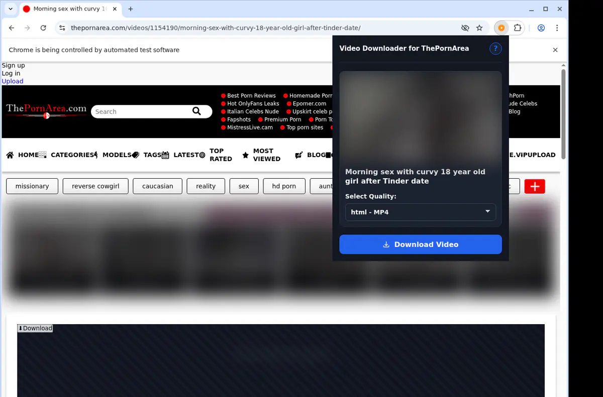 Thepornarea Video Downloader browser extension screenshot 3